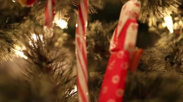 Adorno en el árbol de Navidad con luces — Vídeo de stock