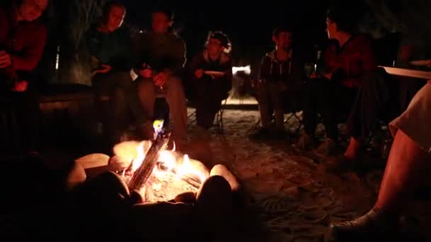 Οικογένεια κάθεται γύρω από ένα campfire — Αρχείο Βίντεο