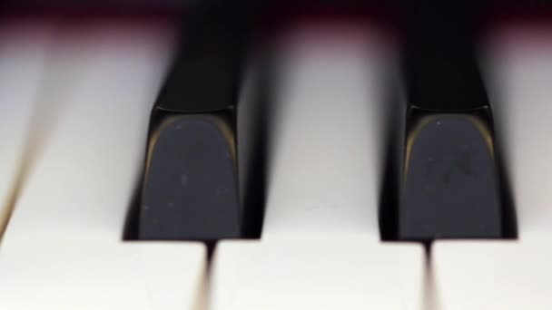 Close up on piano keys — Stock Video