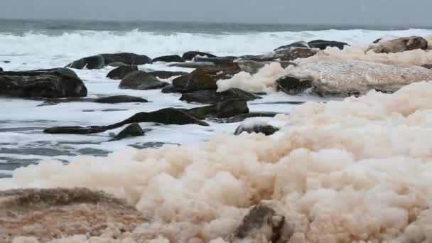 Havet skum på vintern strand — Stockvideo