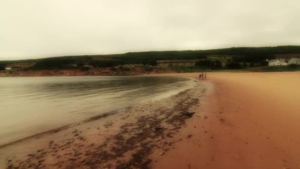 People relax at the beach — Stock Video