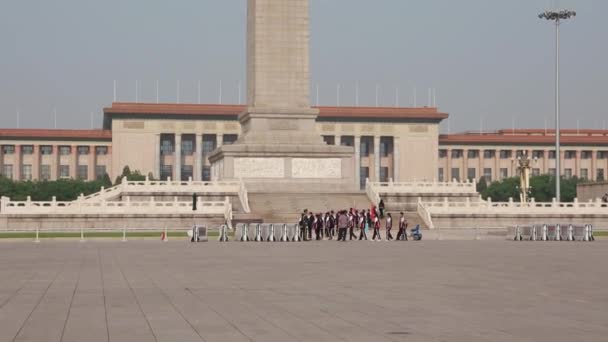 Tourists wait in a line — Stock Video