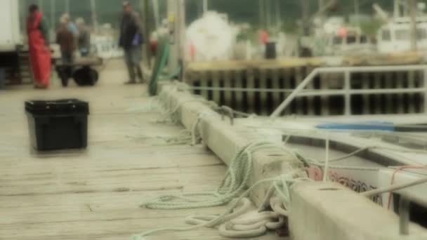 Lobster fishermen in a harbor — Stock Video