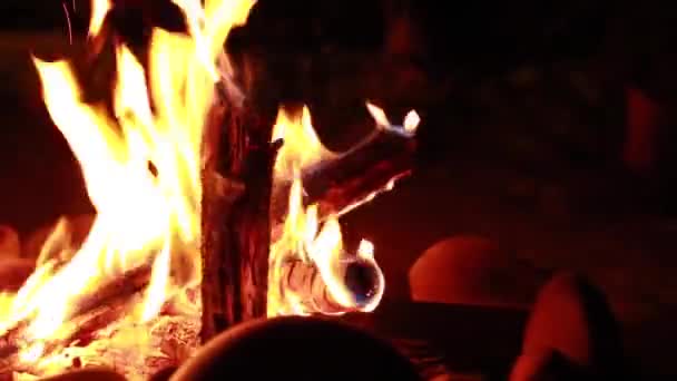 Familie sitzt am Lagerfeuer — Stockvideo