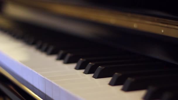 Close up on piano keys — Stock Video