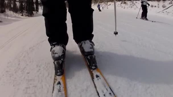 Skiërs in park city — Stockvideo