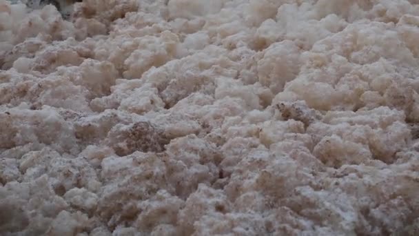 Sea foam on the winter shore — Stock Video