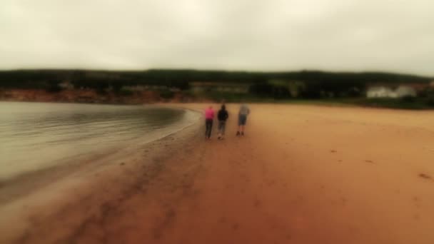 Persone che camminano lungo la spiaggia — Video Stock