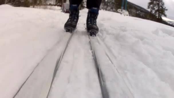Лыжный спорт — стоковое видео