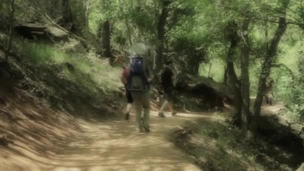 Människor på vandring i nationalparken — Stockvideo