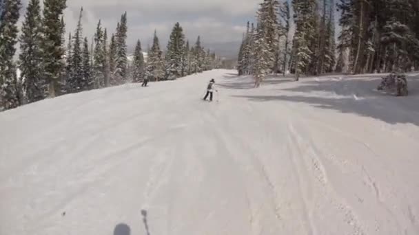 Człowiek na nartach w śniegu — Wideo stockowe