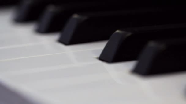 Close up on piano keys — Stock Video