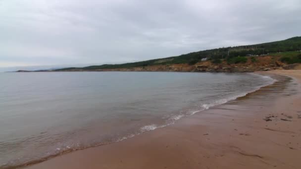 Spiaggia tranquilla dell'oceano — Video Stock