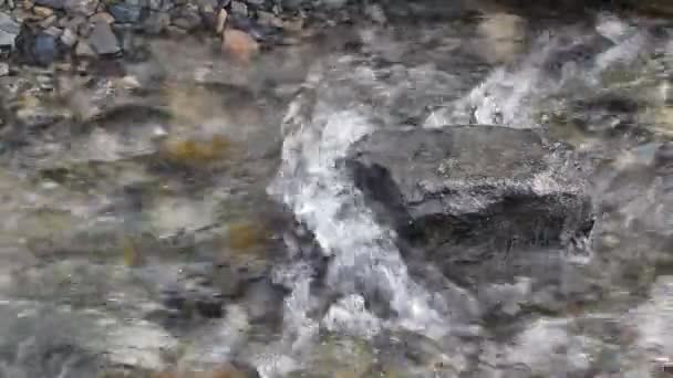 Agua corriendo en el arroyo — Vídeo de stock