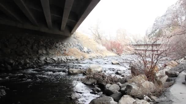 Rio sob ponte — Vídeo de Stock