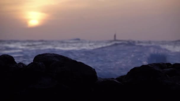 Bir gün batımı sörfçü ve bir yelkenli ile — Stok video