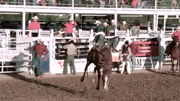 Rodeo událost v Oakley, Utah — Stock video