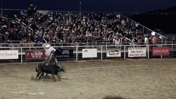 Teamseilspringen beim Rodeo — Stockvideo