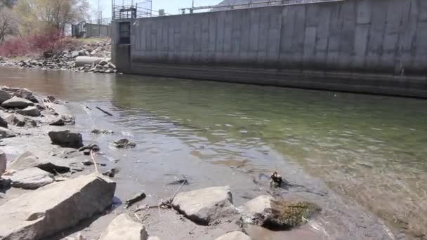 Barragem em um rio de montanha — Vídeo de Stock