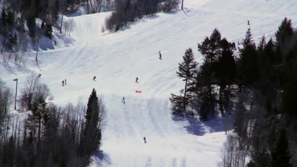 Skiërs in park city — Stockvideo