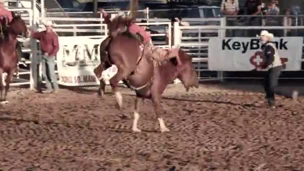 Rodeo olay Oakley, Utah — Stok video