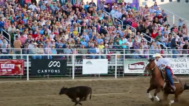 Rodeo událost v Oakley, Utah — Stock video