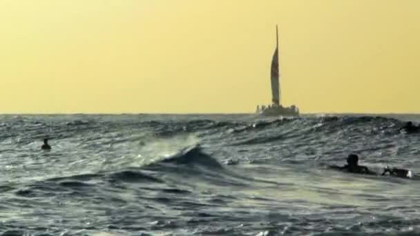 Surfistas atrapando las olas — Vídeo de stock