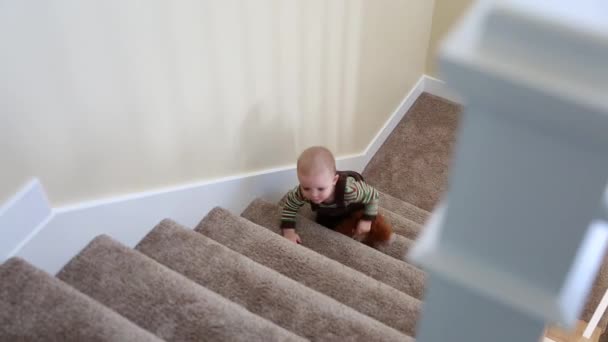Yürümeye başlayan çocuk merdivenlerde çalış — Stok video