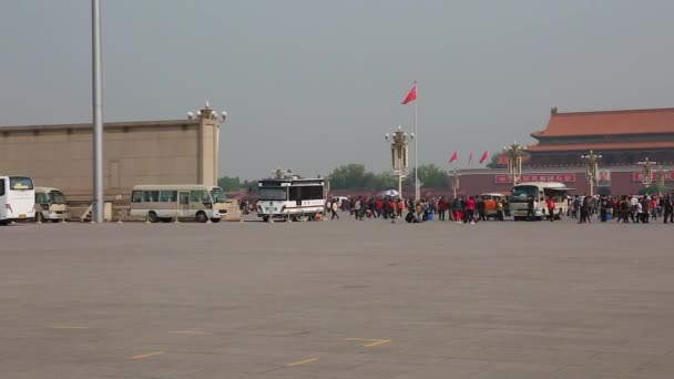 The Forbidden City Palace Courtyard — Stock Video