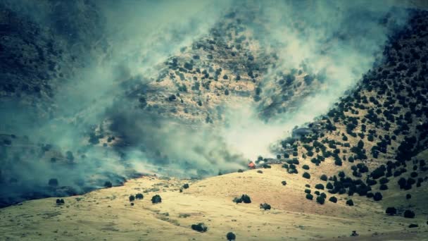 Un feu de forêt brûle à travers la montagne — Video