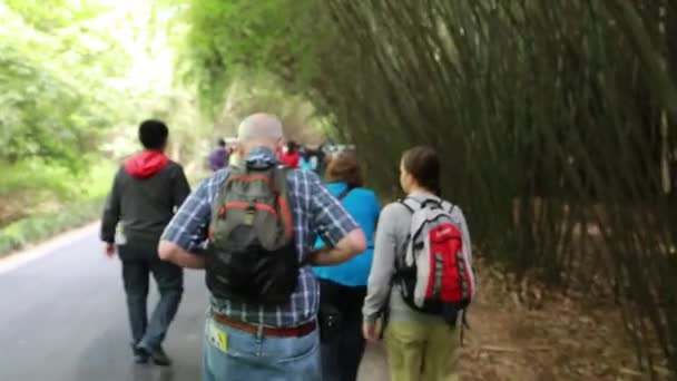 Туристы, идущие в панда-центр — стоковое видео