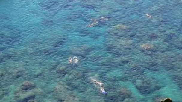 Люди ныряют с маской над рифами — стоковое видео