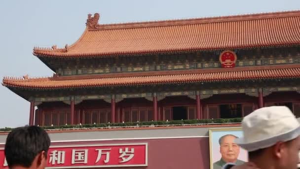 The Forbidden City Palace Courtyard — Stock Video