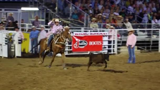 Cowboy ride bull — Stock Video