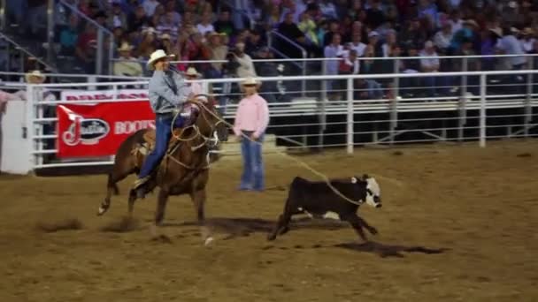 Cowboy ride bull — Stockvideo