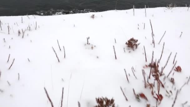 Meeresküste im Winter — Stockvideo