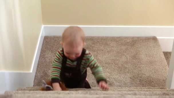 Тоддлер играет на лестнице — стоковое видео