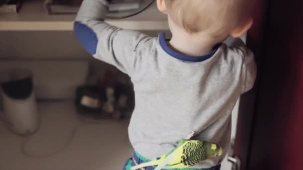 Toddler playing with bird — Stock Video