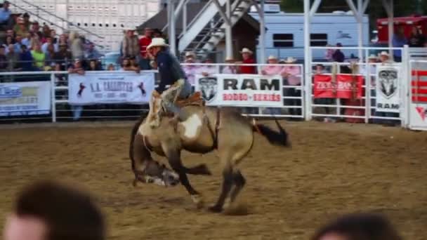 Cowboys reiten sattelfest — Stockvideo