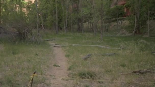 Toeristen een bezoek aan Nationaal Park — Stockvideo