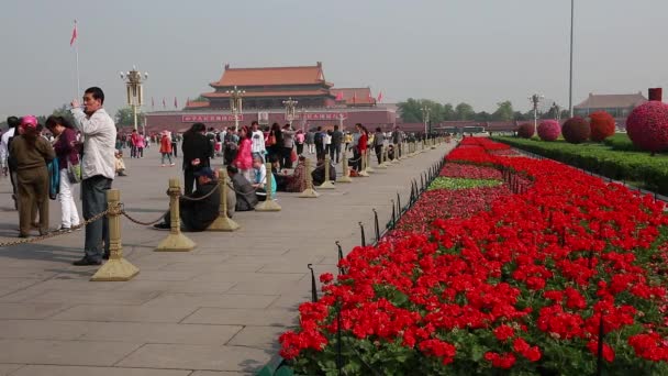 Turistas en la plaza de Tiananmen — Vídeos de Stock