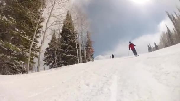 Skidåkning på en vacker mountain resort — Stockvideo