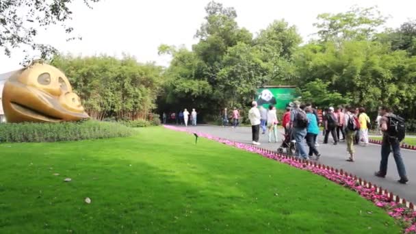 Tourists visit the Panda Center — Stock Video