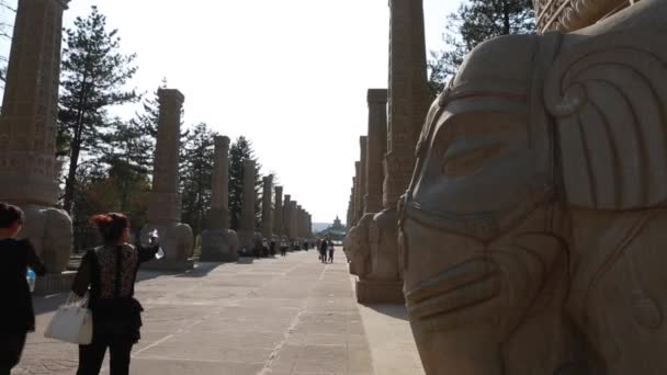 Turisták yungang grottoes — Stock videók