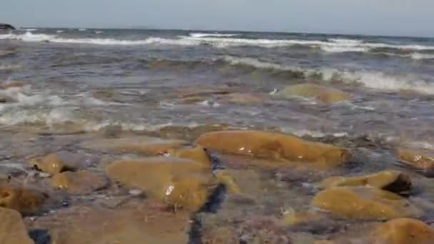 Linha de costa rochosa do oceano — Vídeo de Stock