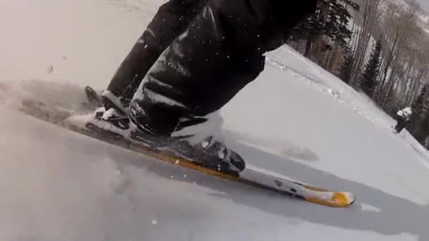 Skifahrer in der Parkstadt — Stockvideo