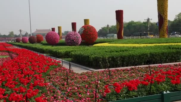 Turistas en la plaza de Tiananmen — Vídeos de Stock