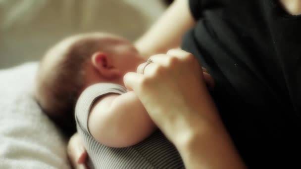 Кормление новорожденного грудью — стоковое видео