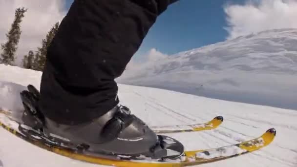 Podstęp na nartach ze wzgórza — Wideo stockowe