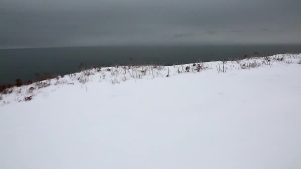 Ocean shore in de winter — Stockvideo